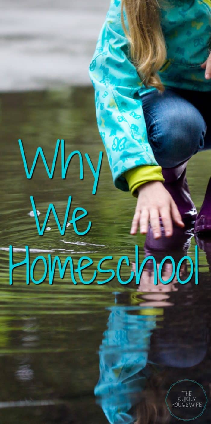 Why homeschool? 10 reasons why we decided to homeschool our kids. Check out this post to learn our motives for starting a secular homeschool.