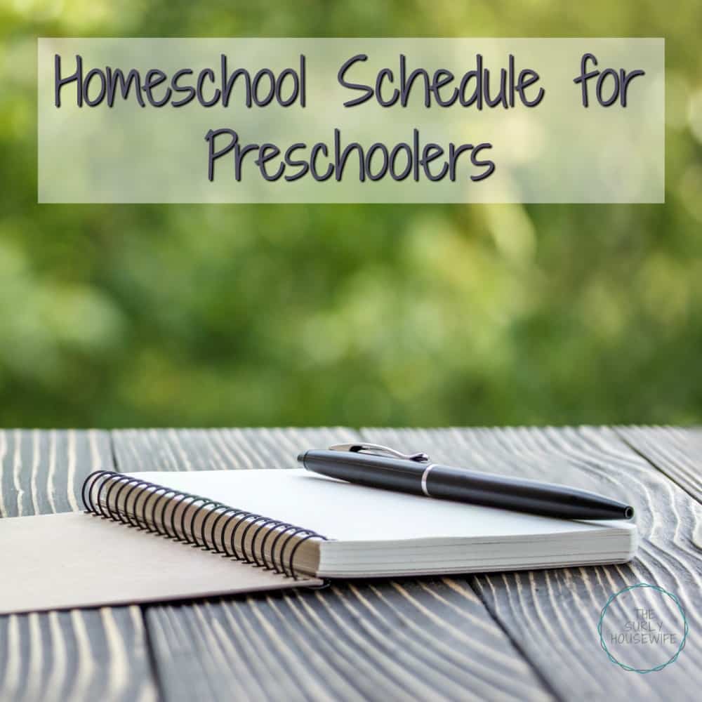 A flexible but reliable daily homeschool schedule helps to keep our family running smoothly. Click here to see a homeschool schedule for preschoolers!