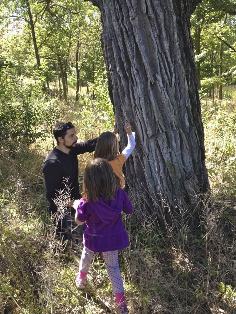 2 girls and their dad examining the bark of a tree. 