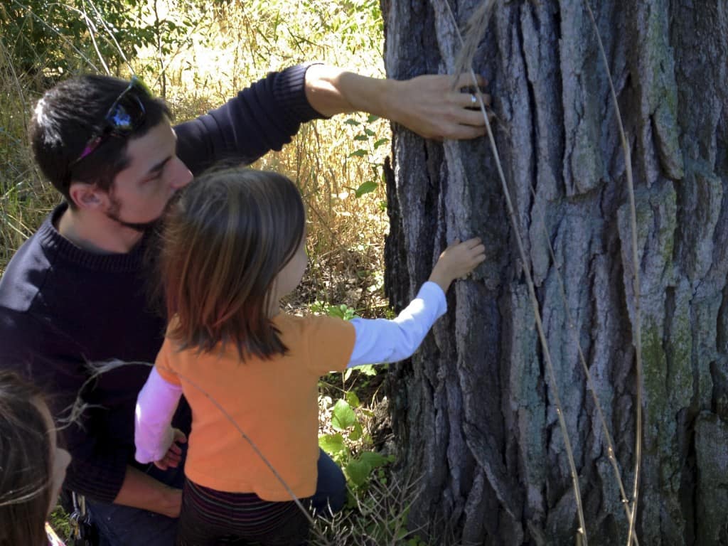 father and daughter examine bark of an oak tree 