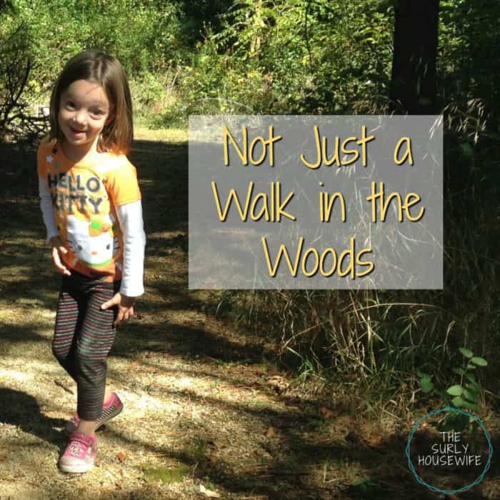 Going on a nature walk with kids is so much more than a walk in the woods. They are a life skill kids need to know, and it teach kids about self-reliance.