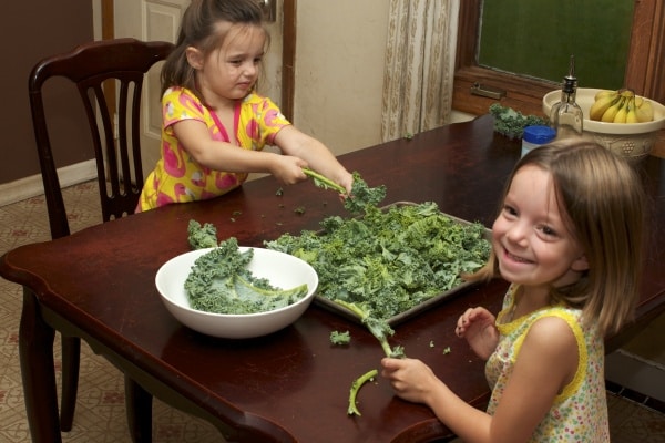 kale chips