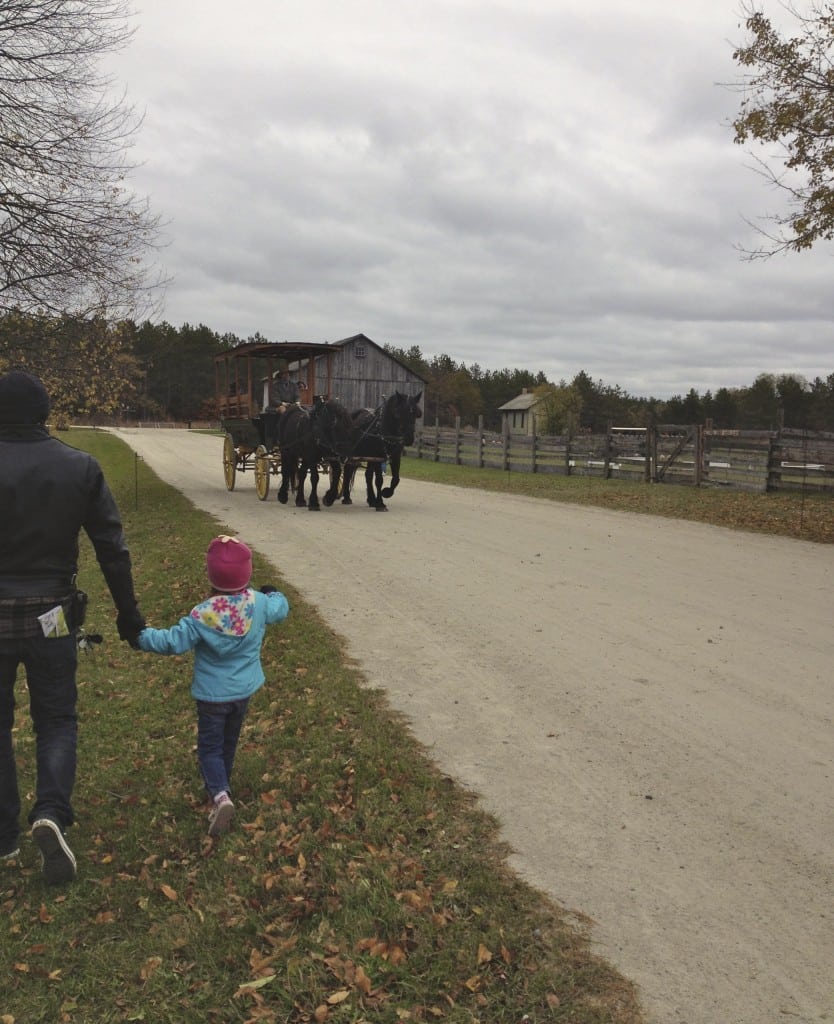 Fall Field Trips in Wisconsin