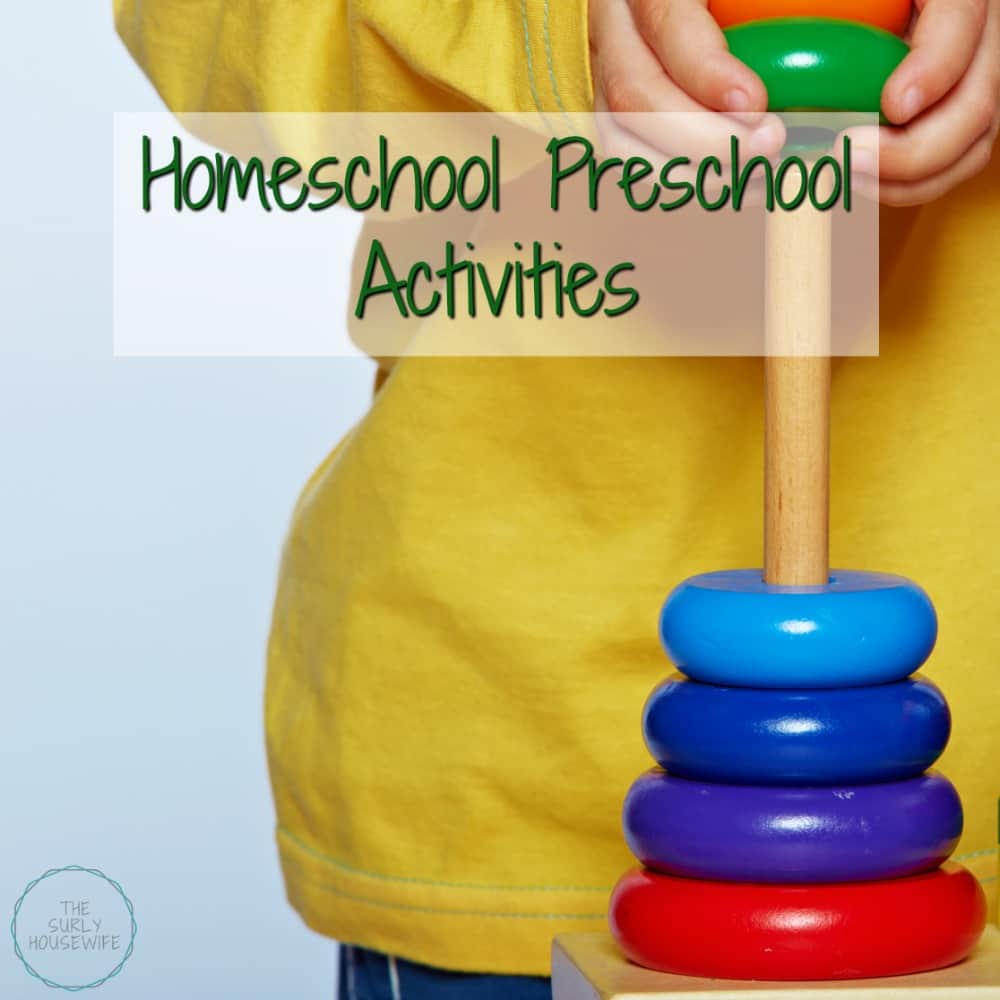 Looking for homeschool preschool activities? Check out this post to see what our family does when we aren't sitting down learning our ABCs and 123s.