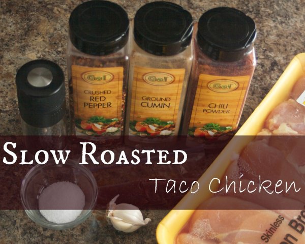 You can never have too many chicken recipes. This taco chicken is made right in the crockpot. With only 6 ingredients it is the perfect chicken slow cooker recipe. 