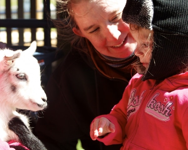 Little girl and her mom petting a goat. 