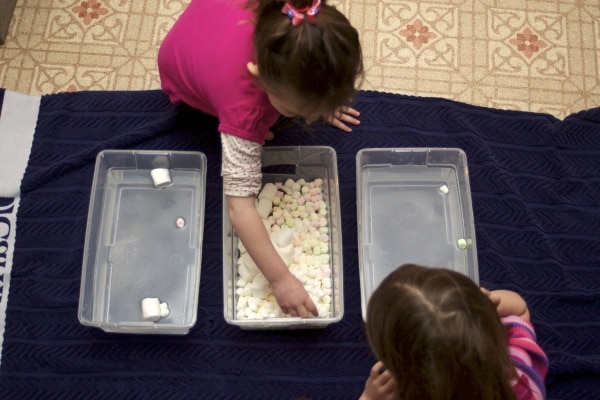 marshmallow sensory play with water