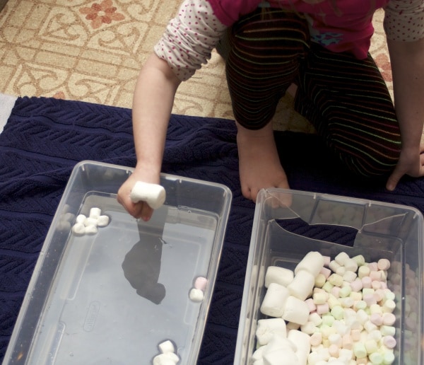 marshmallow sensory play for preschool