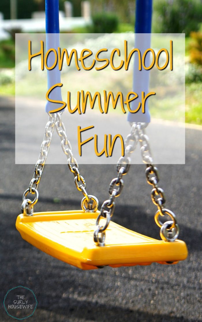 Looking for something to do this summer in WI? Check out some of our favorite parks in southern Wisconsin that we have explored with our homeschool group.