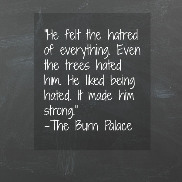 "The Burn Palace" by Stephen Dobyns is a psychological thriller that follows the aftermath of a newborn baby being stolen from a local hospital in Brewster, Rhode Island. A great book and a perfect book to add to a book club.