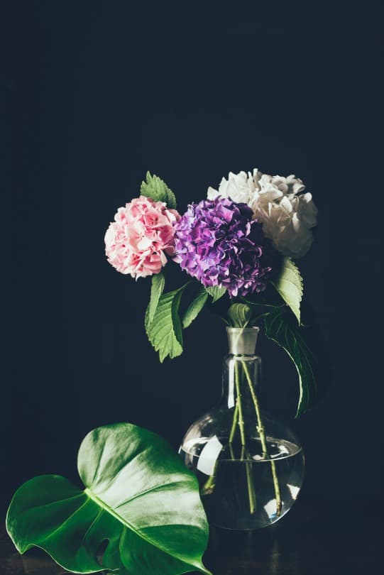 flowers in a vase in front of a black background