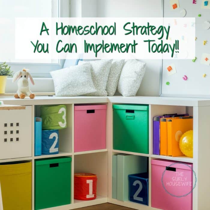 Looking for a way to make your homeschool life easier? Then look no further than this easy, no-prep, no cost idea to add to your homeschool strategy today!