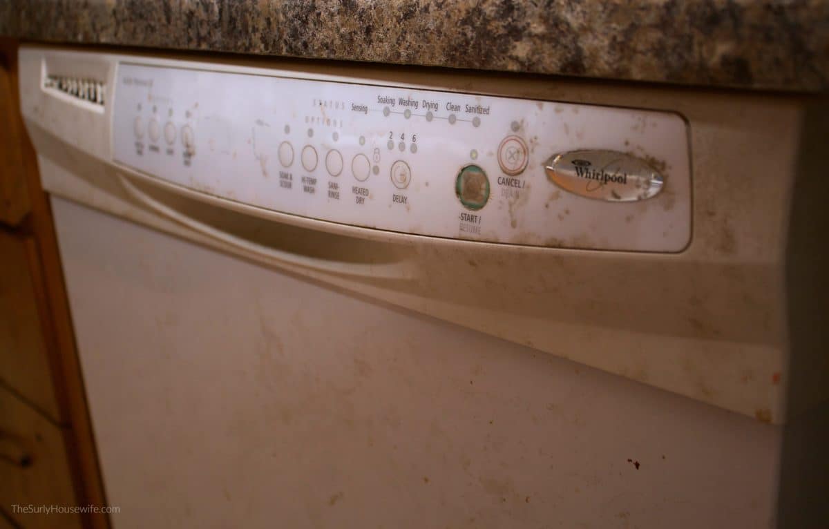 How to Clean the Inside of Your Dishwasher Two Easy Steps