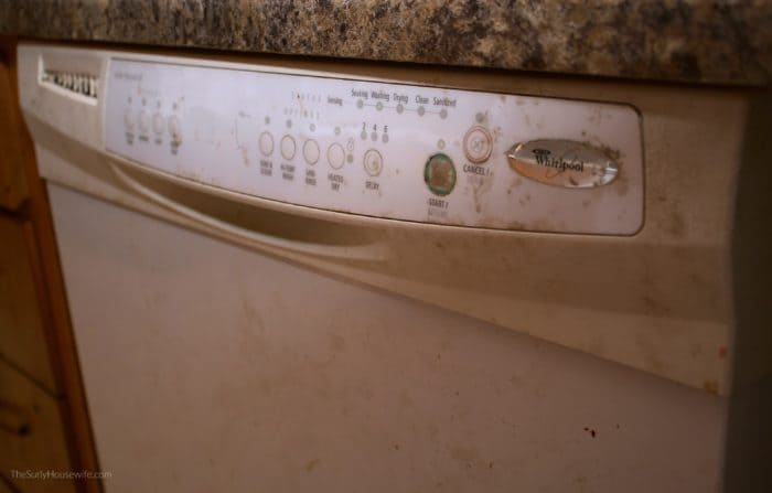 dirty Dishwasher