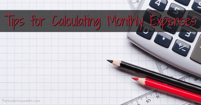 Tracking Monthly Expenses