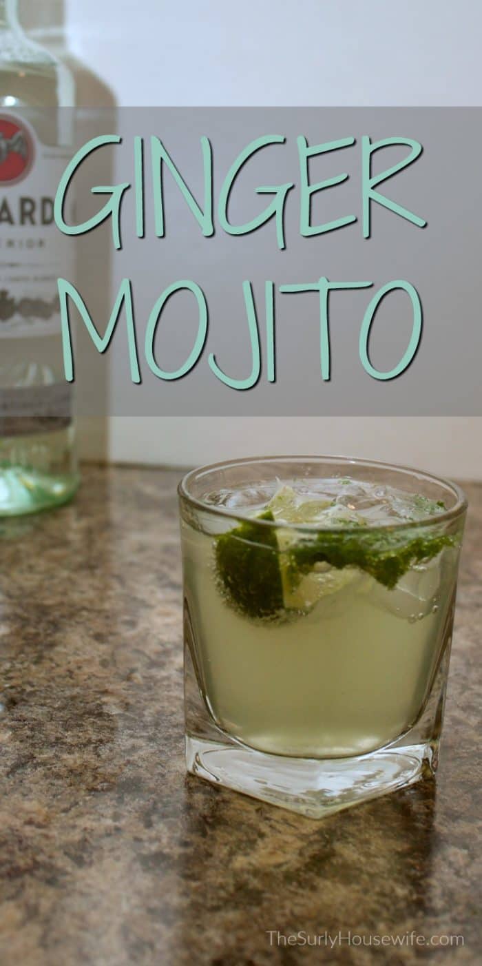 Everyone loves a classic mojito. I decided to change it up a little by adding my favorite ginger soda, Vernors. Click here for my ginger mojito recipe!| Vernors drink recipes.