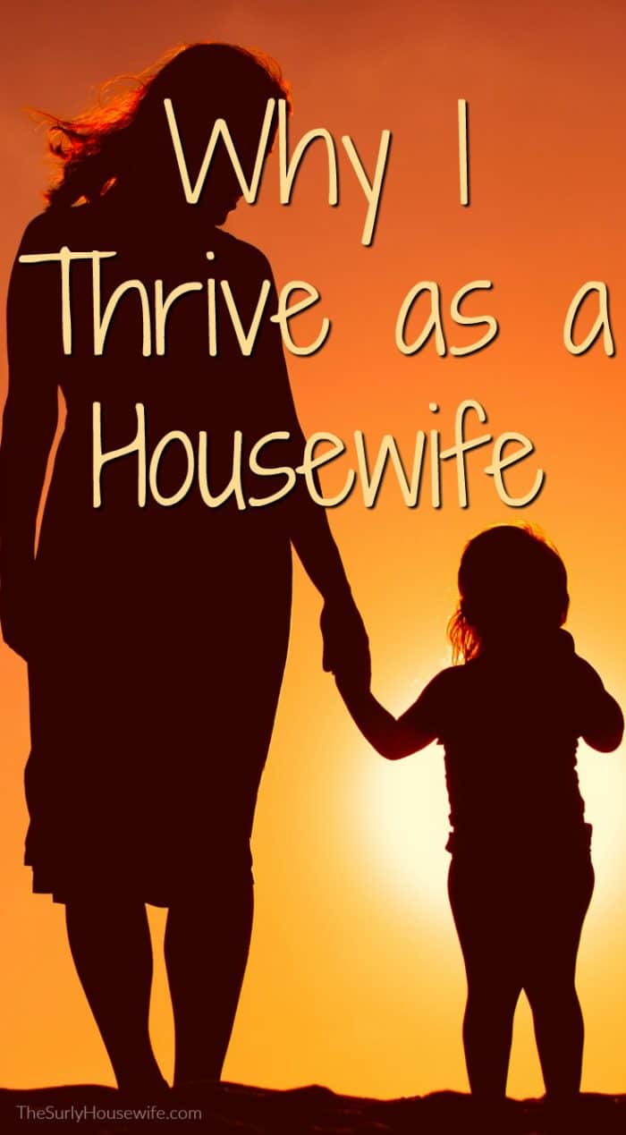 Looking for encouragement as a housewife or stay-at-home-mom? Check out this article to find out my motto, venerate the housewife, which helps me thrive!