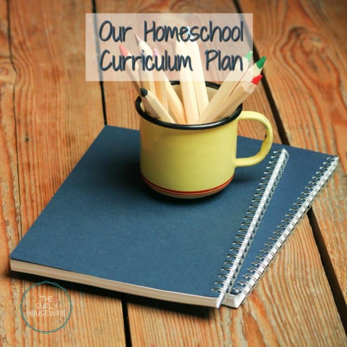 Homeschool Curriculum for 2017