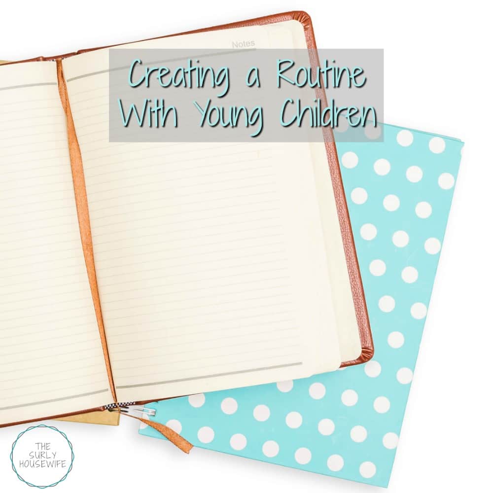 Do you feel like you are in survival mode with your kids? In this post learn how to organize a routine with young children to bring joy back into your home.