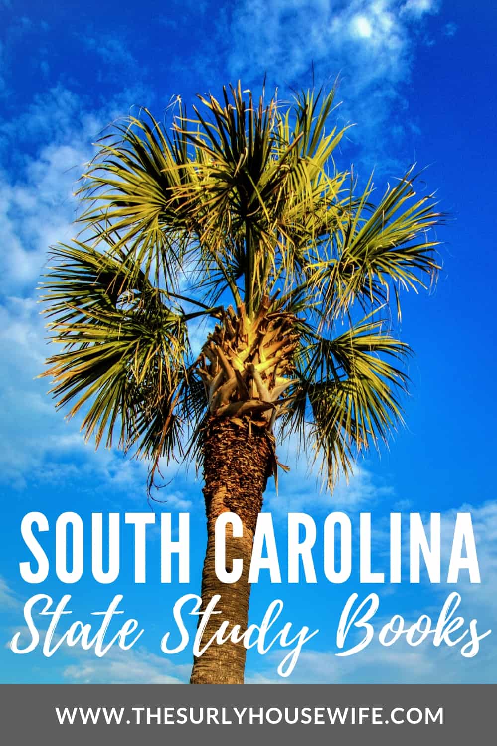 Need children’s books about South Carolina? This book list includes picture books about South Carolina history and chapter books set in South Carolina.