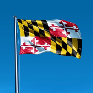 Flag of Maryland waving on flag pole