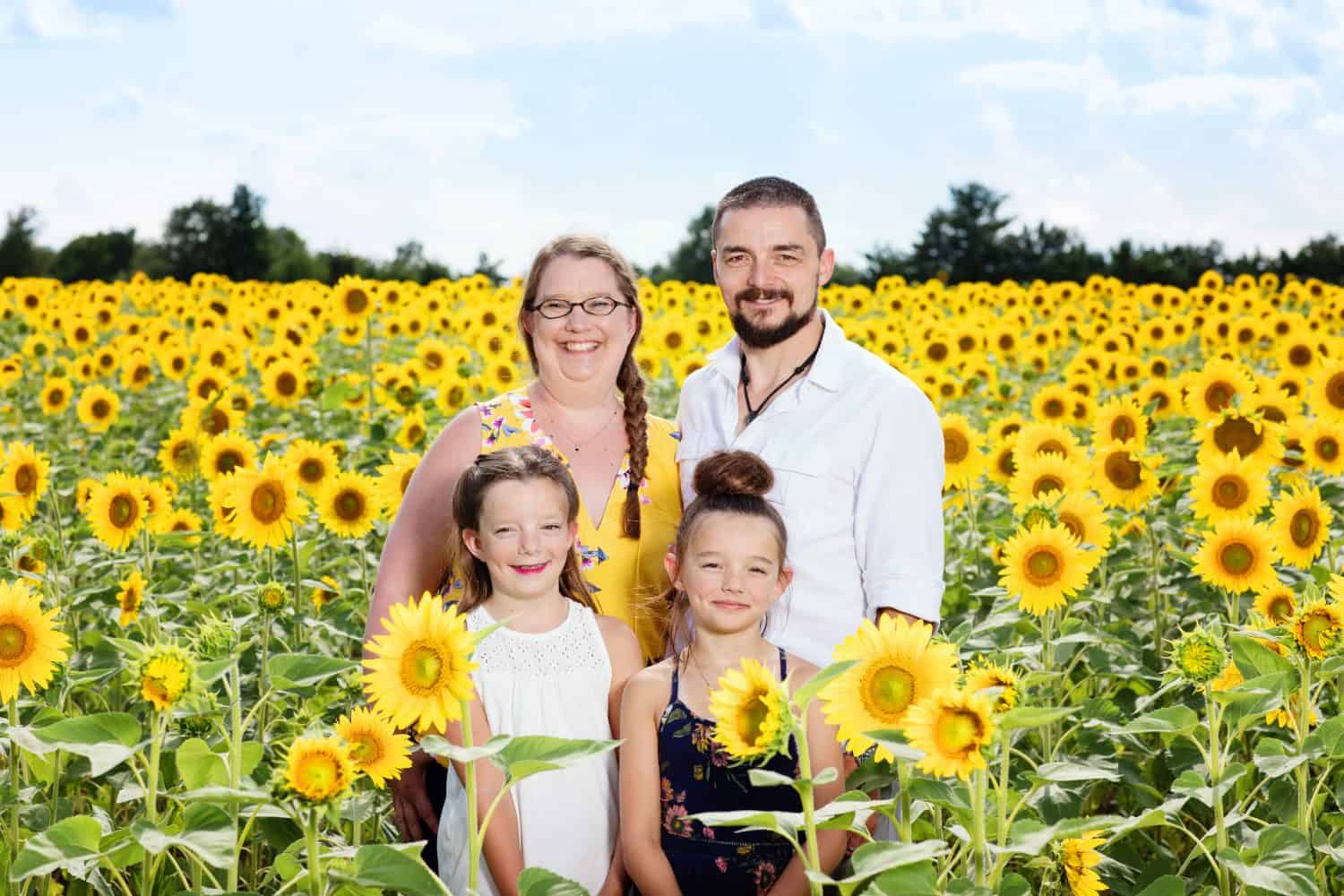 family pictures taken in a sunflower field. 