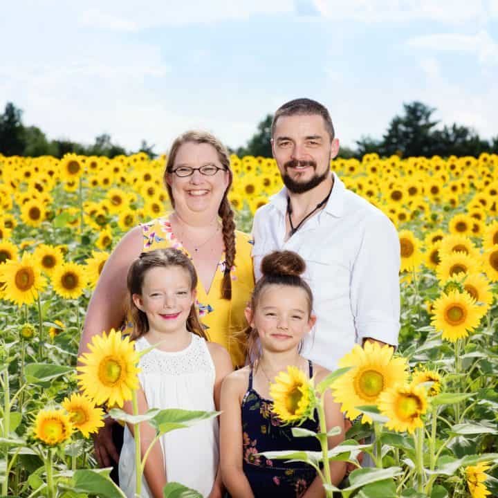 The Days are long but the years are short. family photo taken in a sunflower field. 