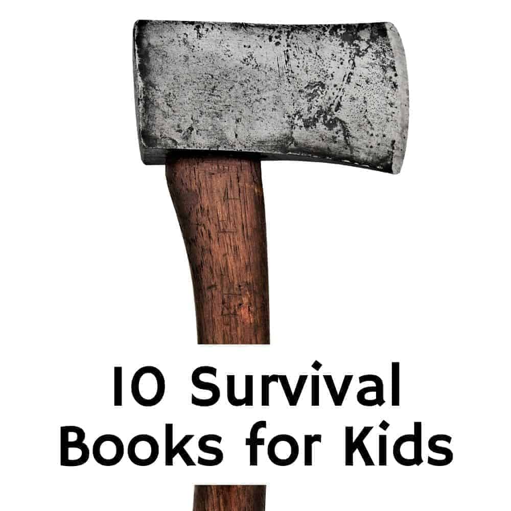 Hatchet on a plain white background. Title image for blog post: 10 Survival Books like Hatchet for kids