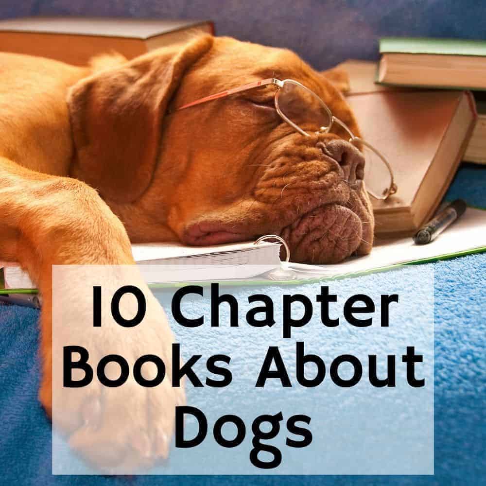dog with glasses on laying on a pile of books. Title image of blog post "10 Chapter Books about Dogs"