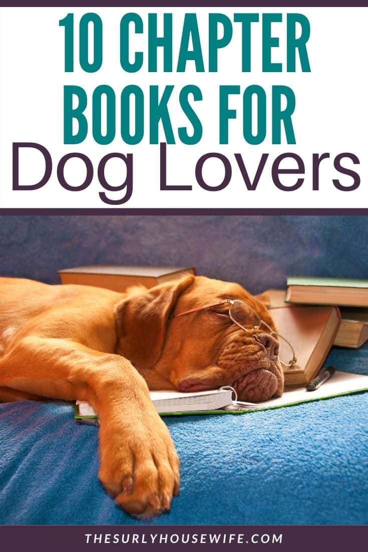 Does your child need help finding their next book? Is your child an animal lover? Then don't miss this post for 10 of the best chapter books about dogs!