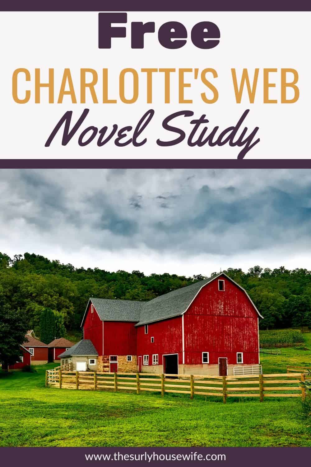 Tired of reading comprehension worksheets? Want to have a meaningful book discussion with your kids? Click here for 10 effortless Charlotte's Web discussion questions. Perfect for a unit study on Charlotte's Web!