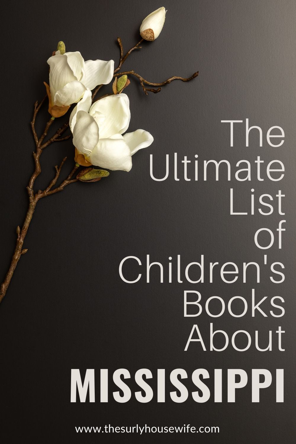 Looking for children’s books about Mississippi? This post includes picture AND chapter books about Mississippi, it's history, and the civil rights movement.