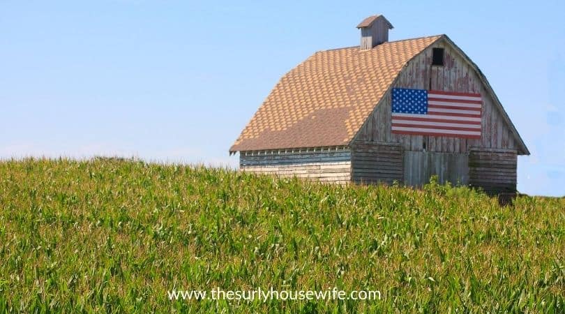 Rustic barn in an Iowa cornfield. Title image of blog post 20 children's books about Iowa