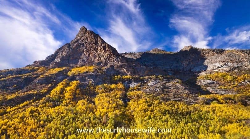 Nevada Landscape