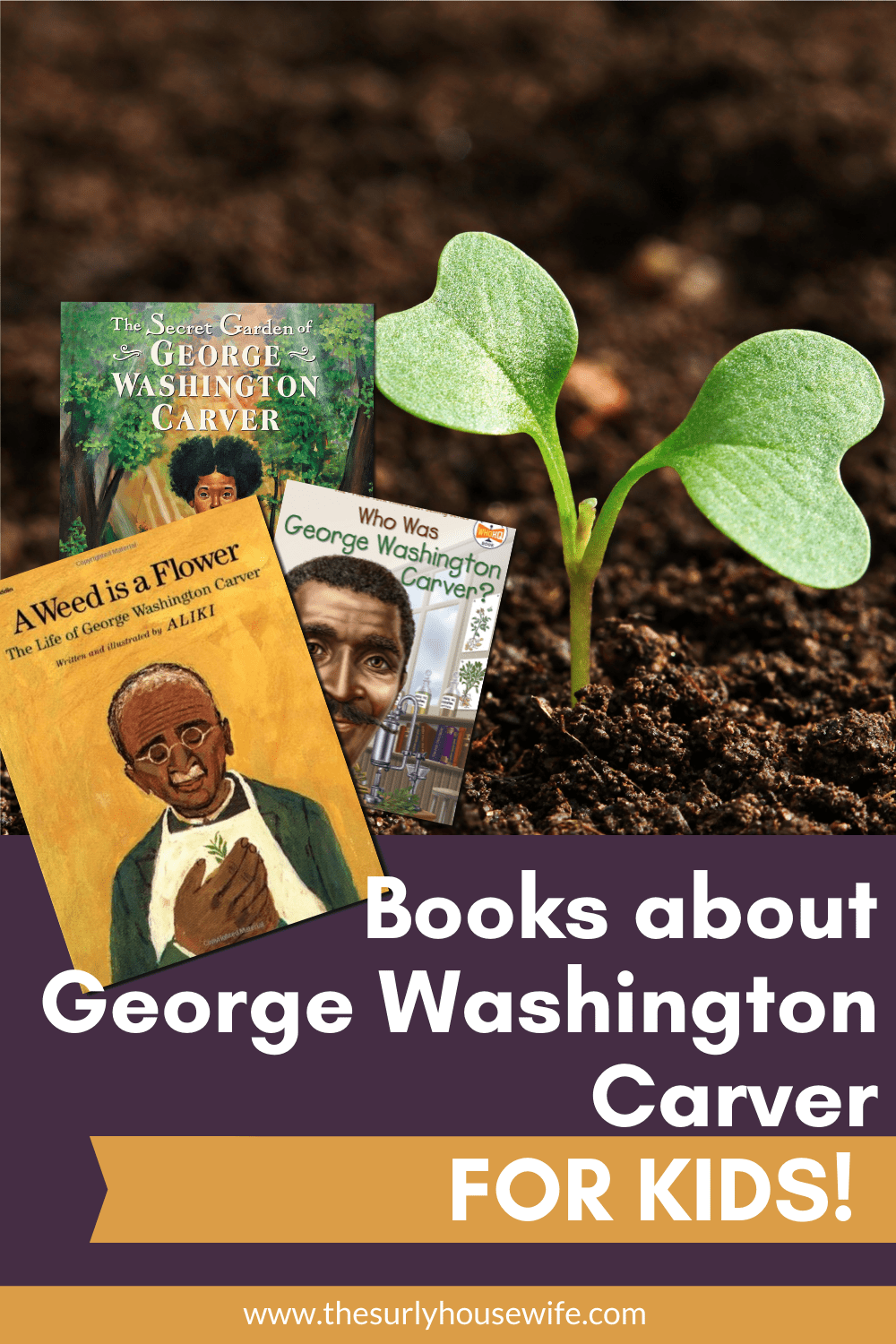 10 enriching children's books about George Washington Carver