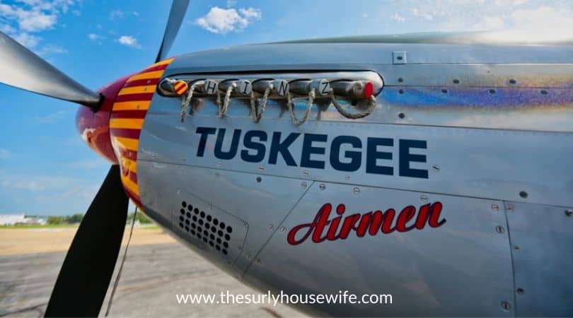 Title image of blog post: children's books about the Tuskegee Airmen