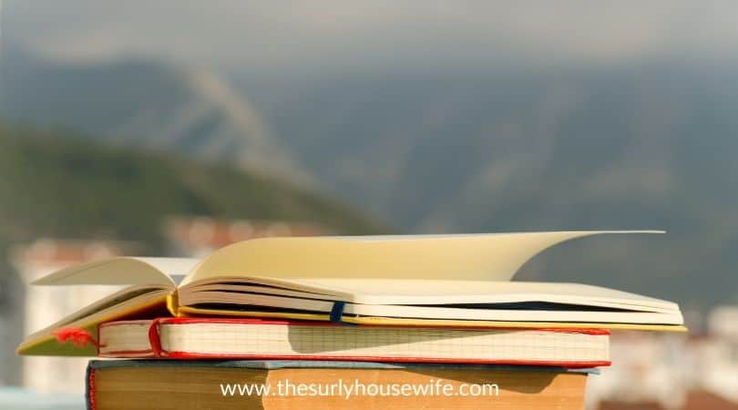 stack of books set outdoors. Title image of blog post YA books set in Alaska