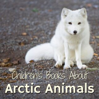 white fox in a snowy village. Featured image for blog post children's books about arctic animals