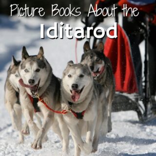 dog sled. Featured image of blog post picture books about the Iditarod