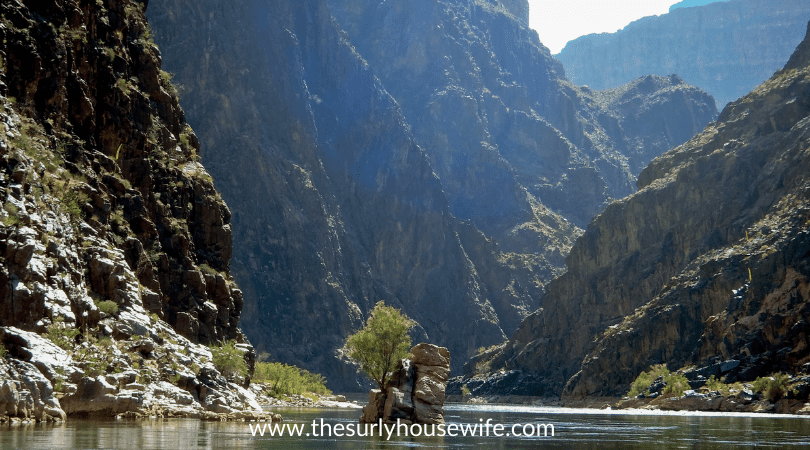 chapter books set in the Grand Canyon