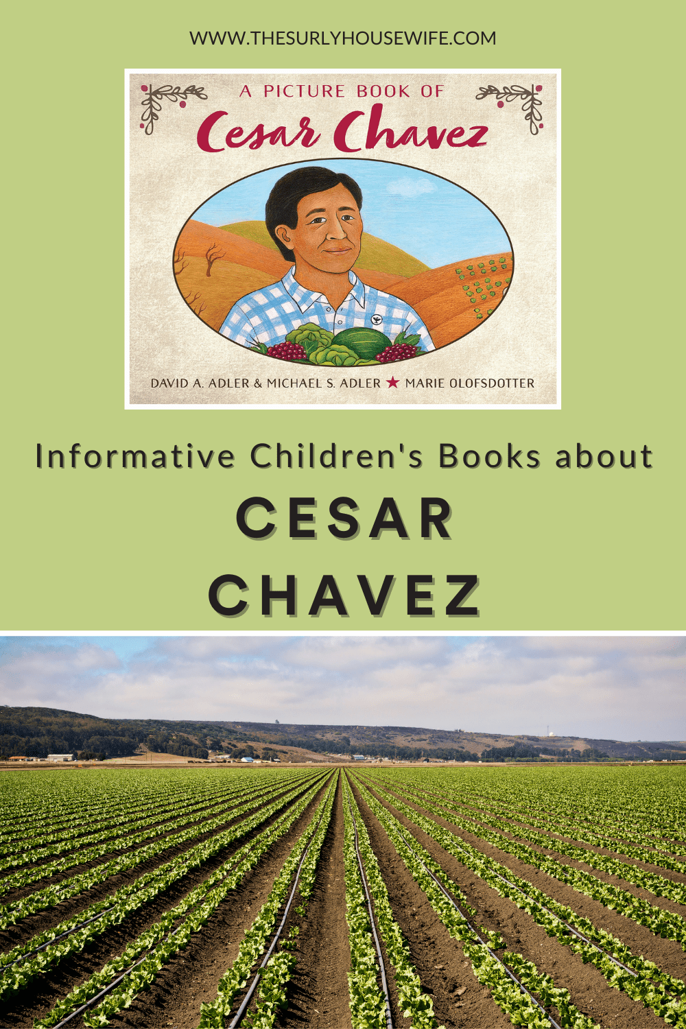 children's books about cesar chavez pin